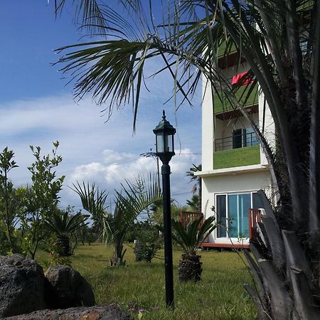 Jeju Bada Wi Olle Pension Seogwipo Extérieur photo