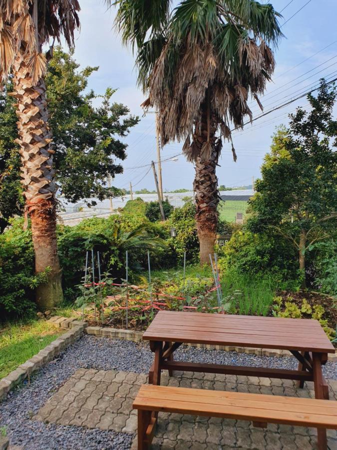 Jeju Bada Wi Olle Pension Seogwipo Extérieur photo